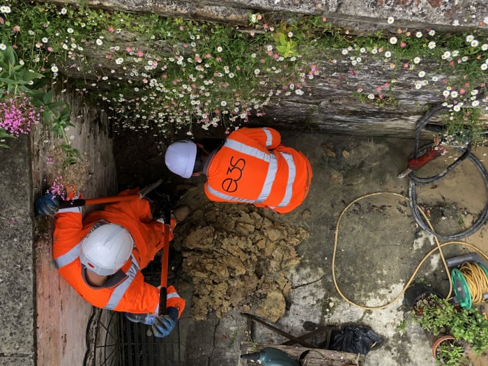 Vegetation clearance 